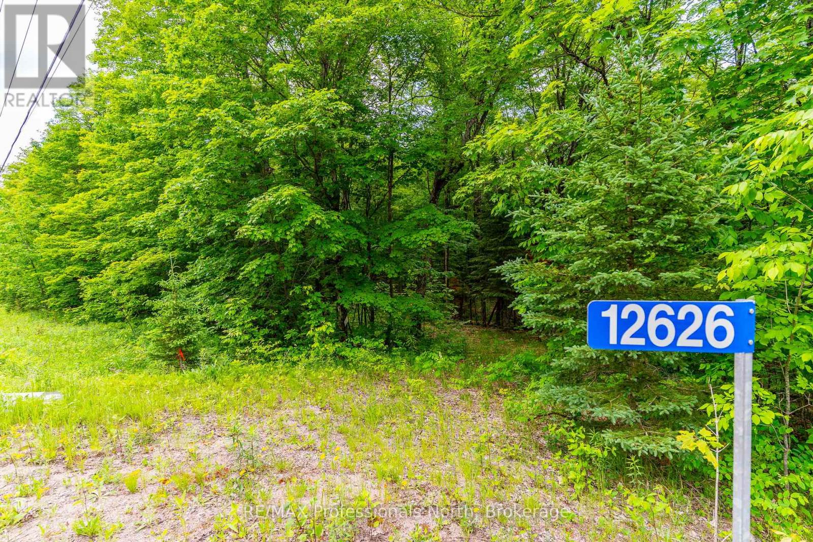 12626 County Rd 503 Road, Highlands East (Monmouth), Ontario  K0L 2Y0 - Photo 2 - X13490964
