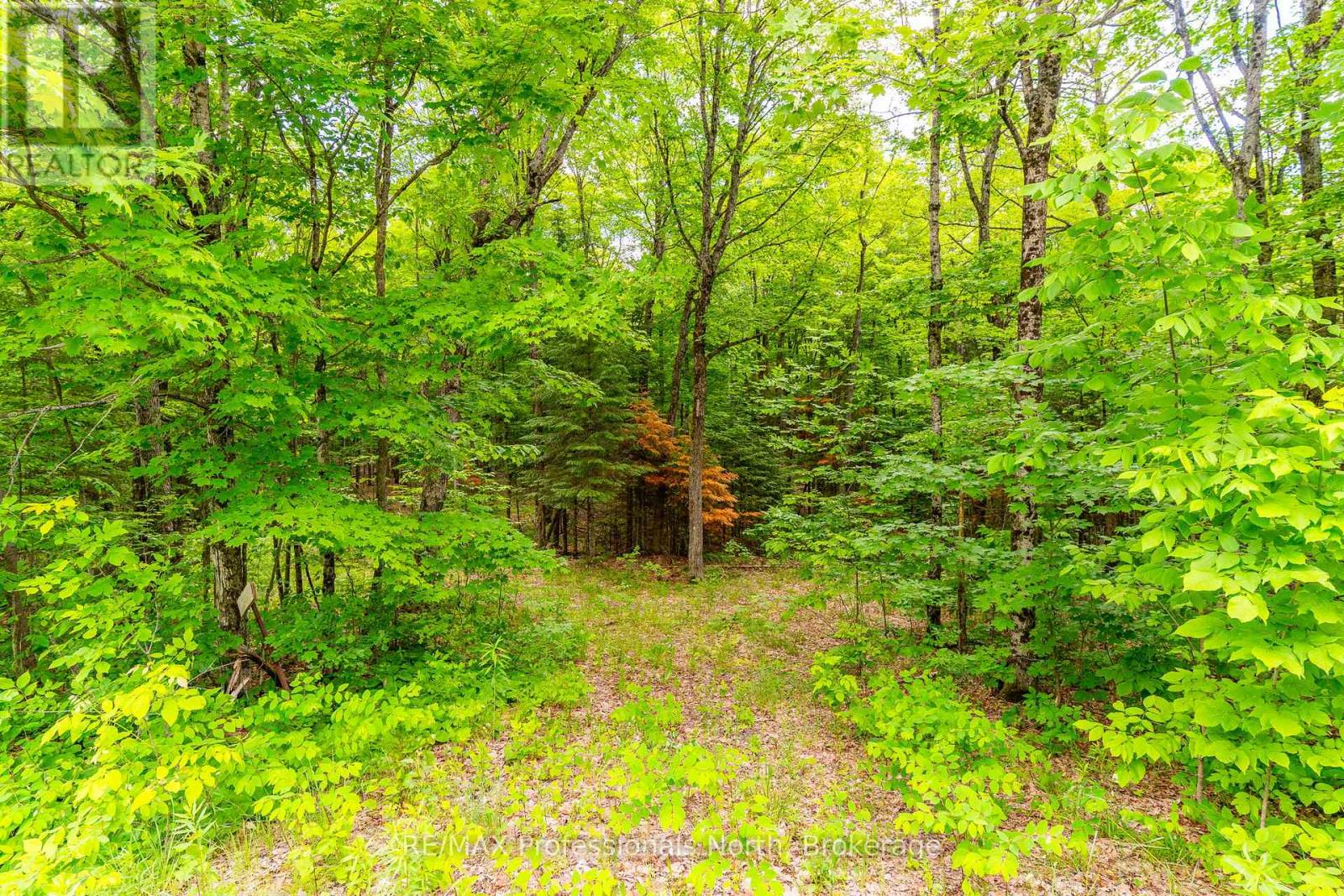 12626 County Rd 503 Road, Highlands East (Monmouth), Ontario  K0L 2Y0 - Photo 4 - X13490964