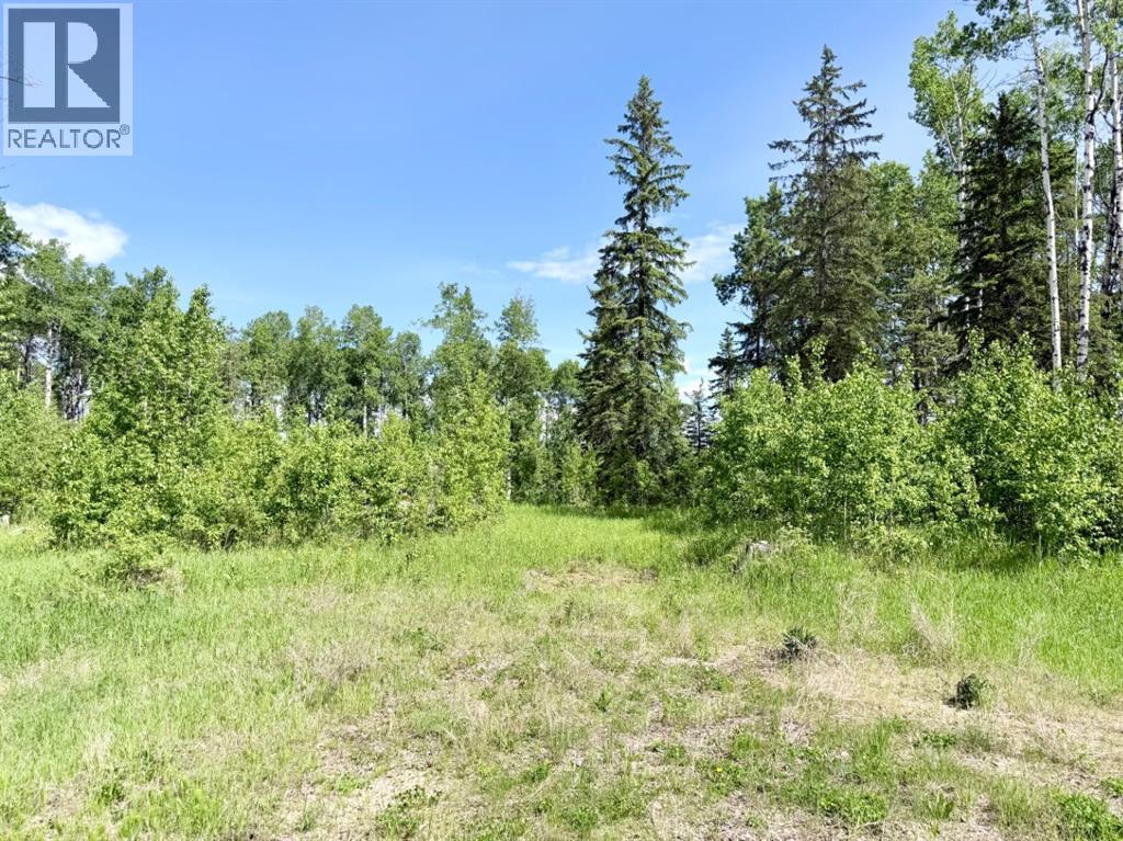 Block 1 Lot 9 Elk Ridge Estates, Rural Woodlands County, Alberta  T7S 1N9 - Photo 3 - A2324368