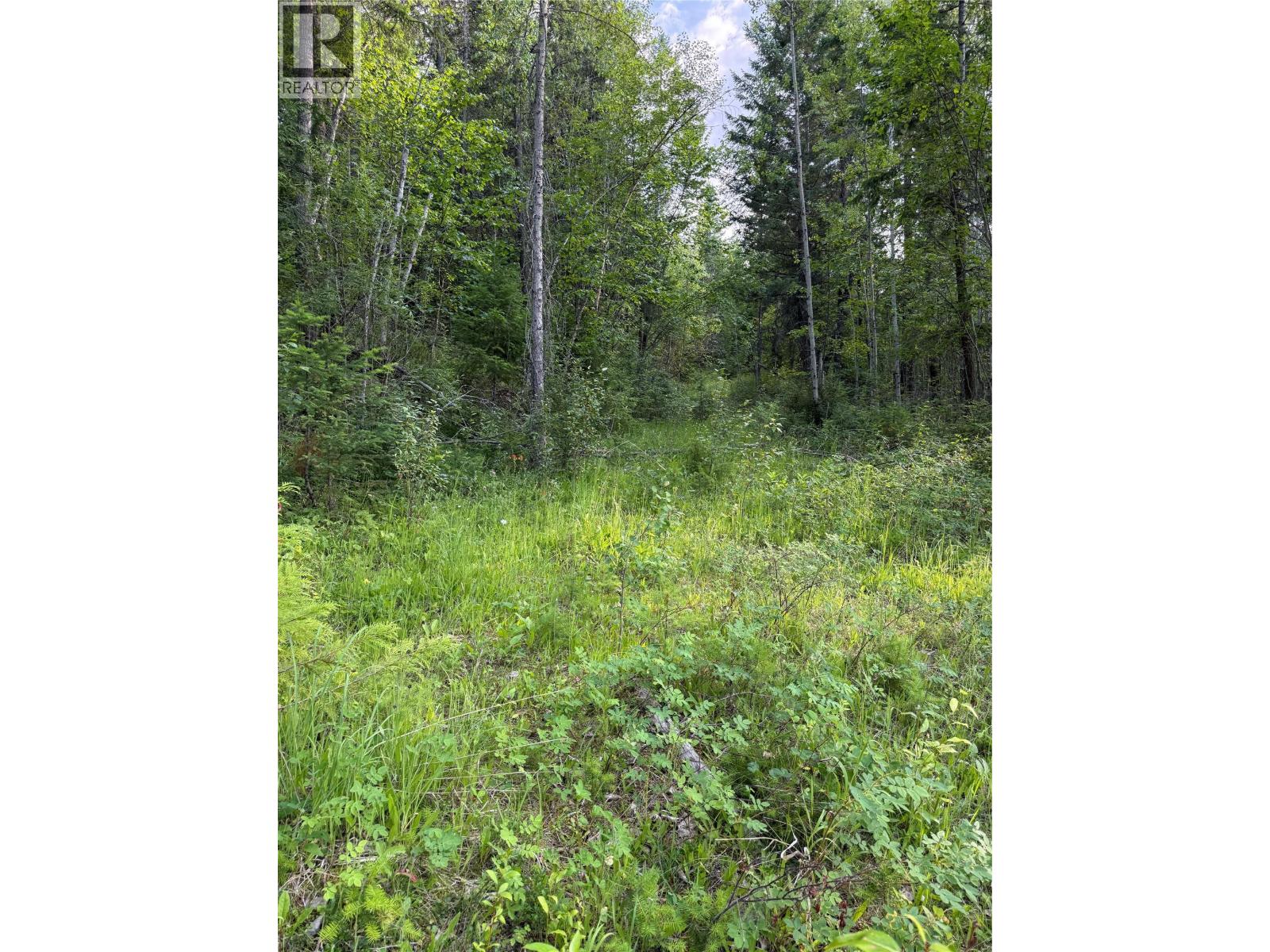 Hepburn Road Lot# 1, Chase, British Columbia  V0E 1M1 - Photo 17 - 10392577
