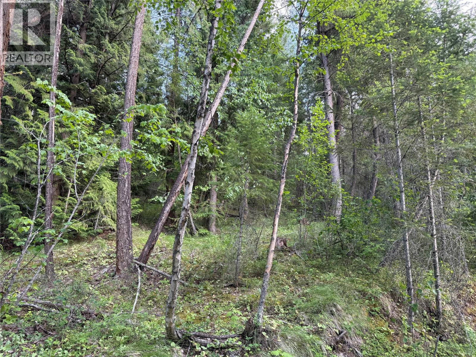 Hepburn Road Lot# 1, Chase, British Columbia  V0E 1M1 - Photo 23 - 10392577