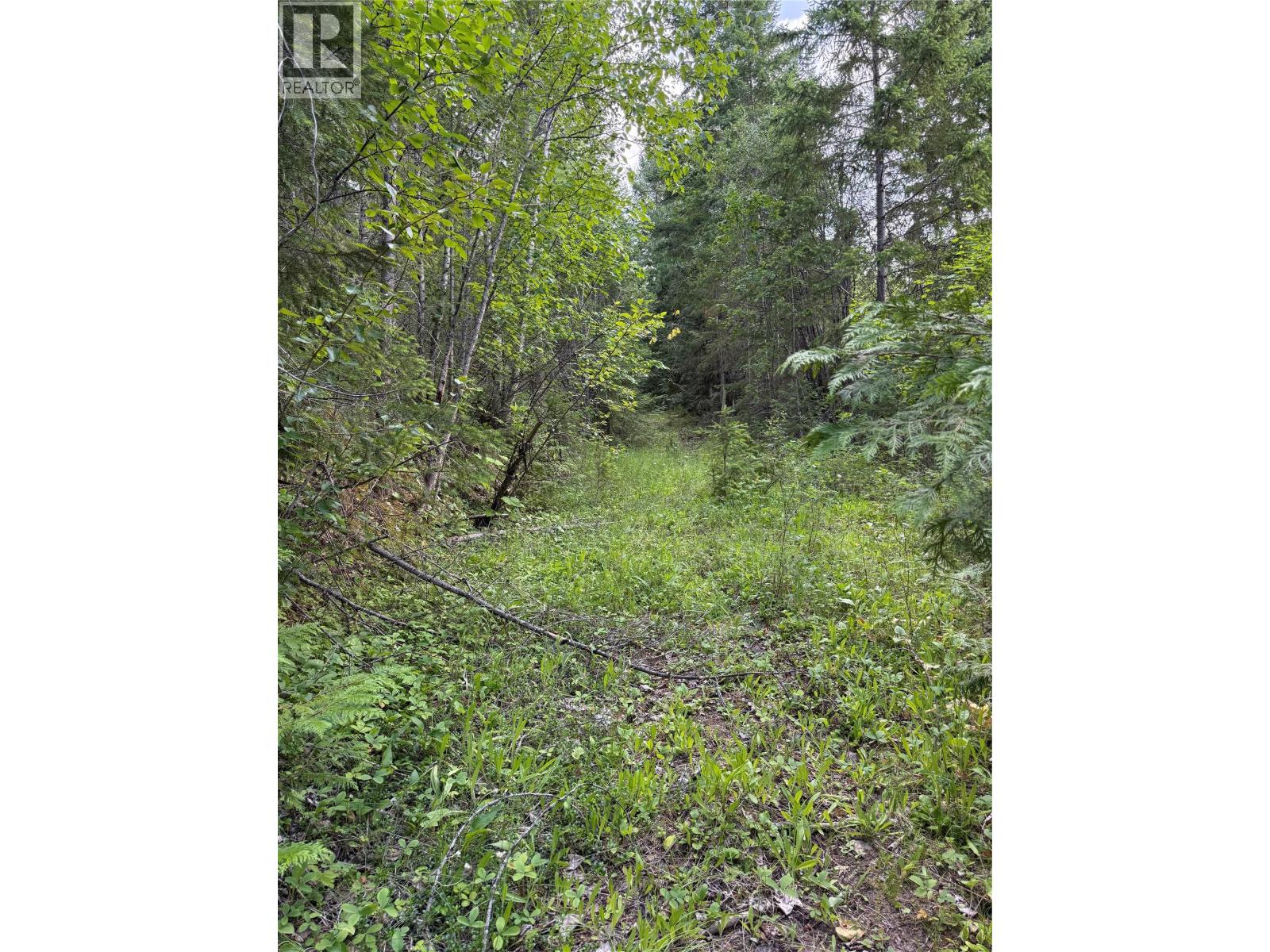 Hepburn Road Lot# 1, Chase, British Columbia  V0E 1M1 - Photo 24 - 10392577