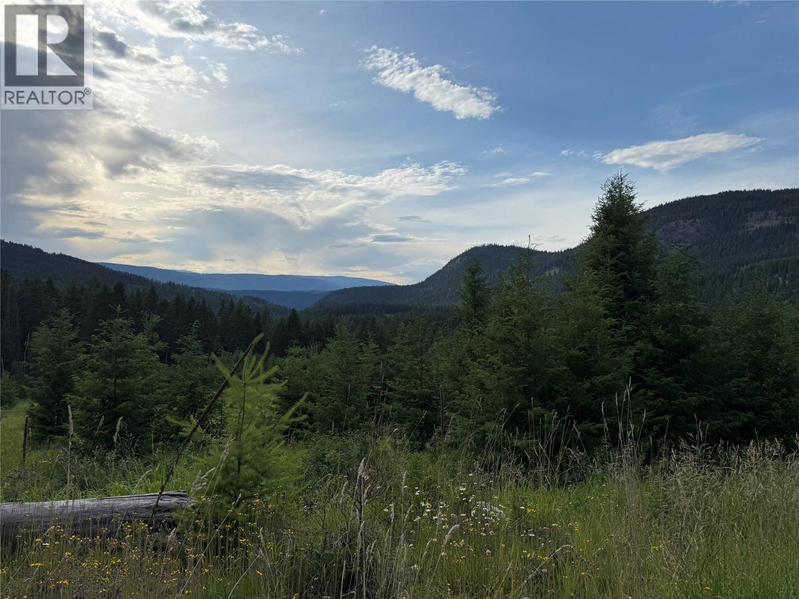 Hepburn Road Lot# 1, Chase, British Columbia  V0E 1M1 - Photo 29 - 10392577