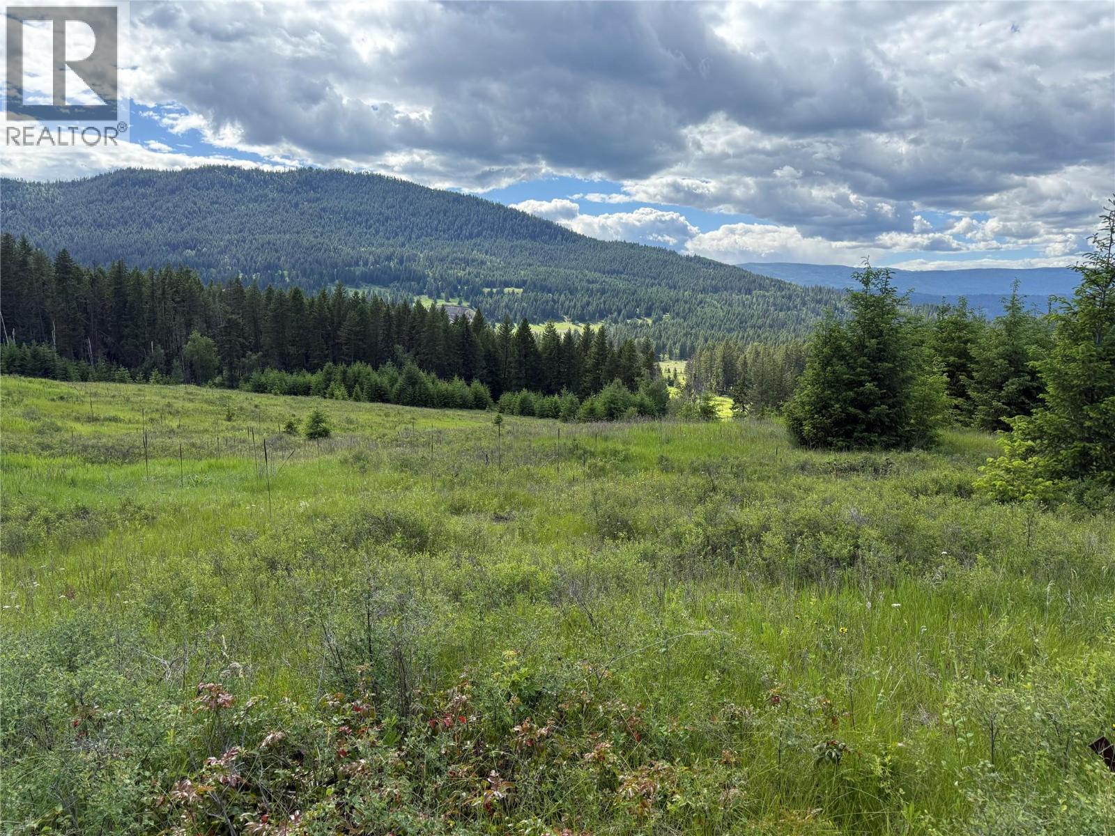 Hepburn Road Lot# 1, Chase, British Columbia  V0E 1M1 - Photo 3 - 10392577