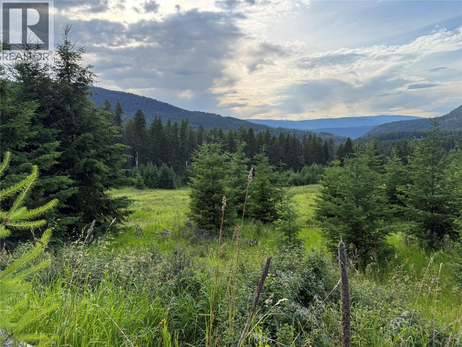 Hepburn Road Lot# 1, Chase, British Columbia  V0E 1M1 - Photo 30 - 10392577