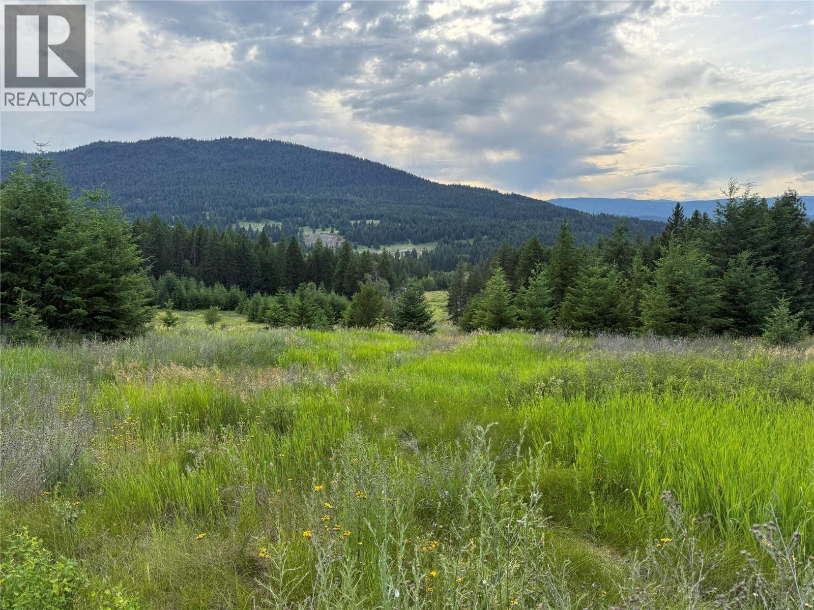 Hepburn Road Lot# 1, Chase, British Columbia  V0E 1M1 - Photo 43 - 10392577
