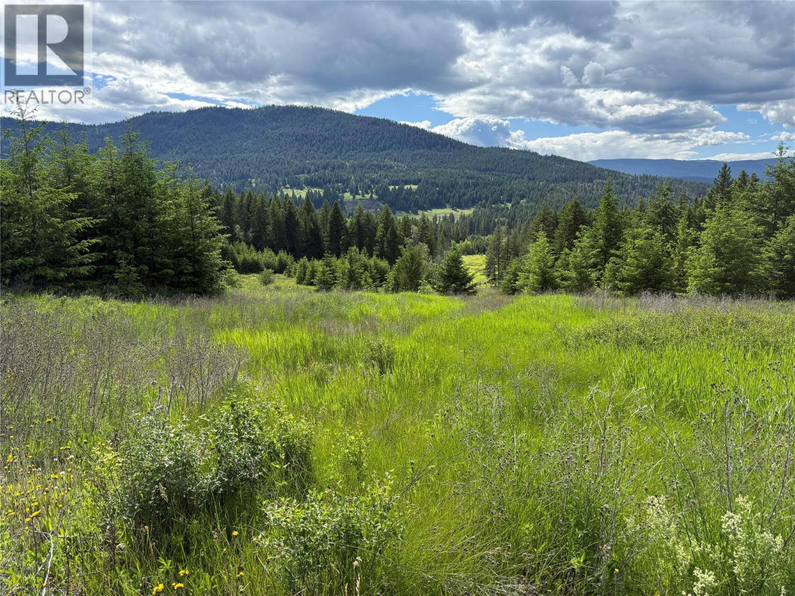 Hepburn Road Lot# 1, Chase, British Columbia  V0E 1M1 - Photo 6 - 10392577