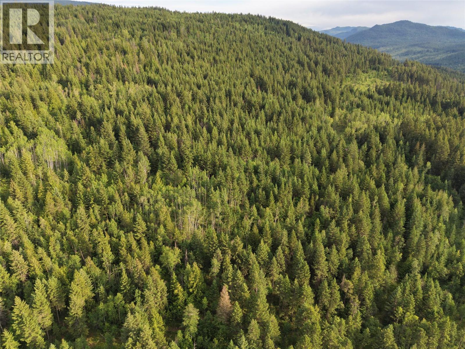 Hepburn Road Lot# 1, Chase, British Columbia  V0E 1M1 - Photo 67 - 10392577
