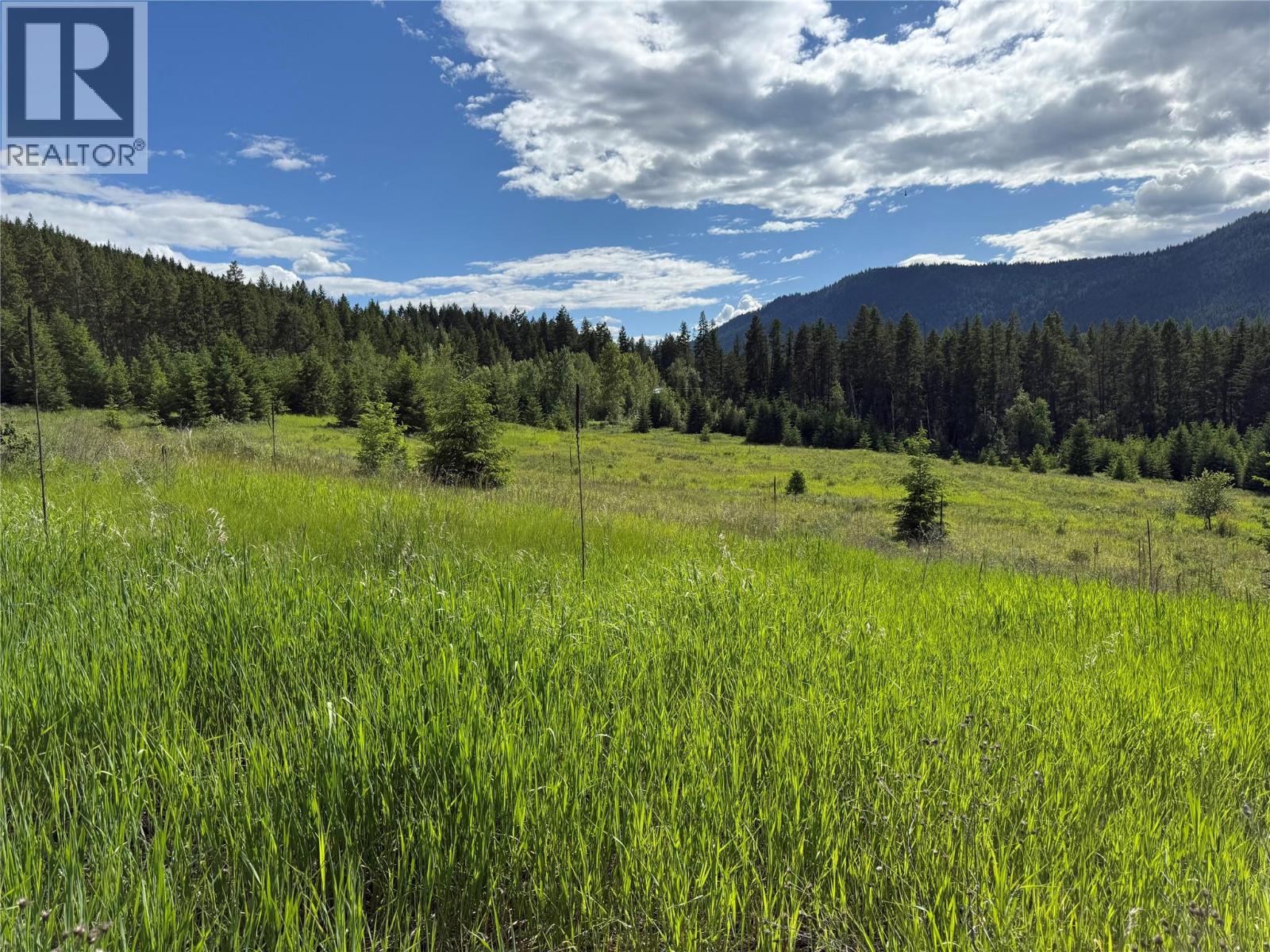 Hepburn Road Lot# 1, Chase, British Columbia  V0E 1M1 - Photo 7 - 10392577