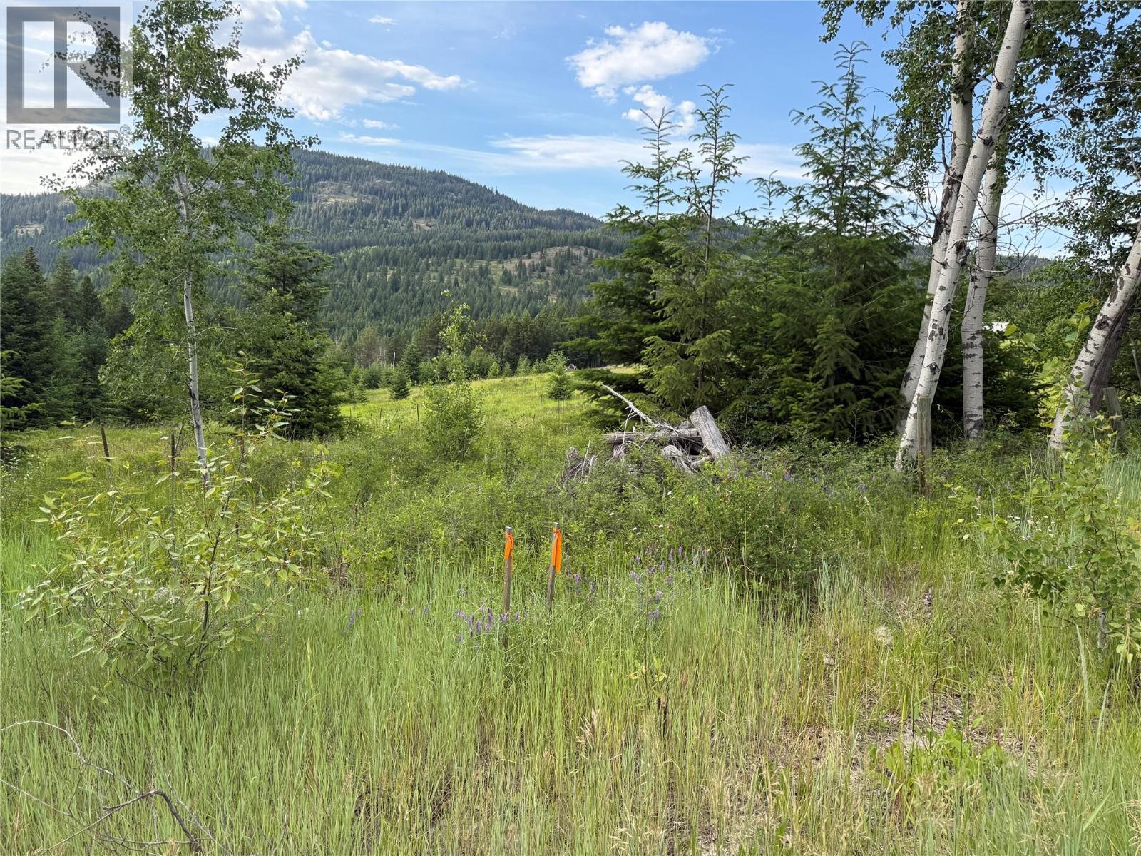 Hepburn Road Lot# 1, Chase, British Columbia  V0E 1M1 - Photo 81 - 10392577
