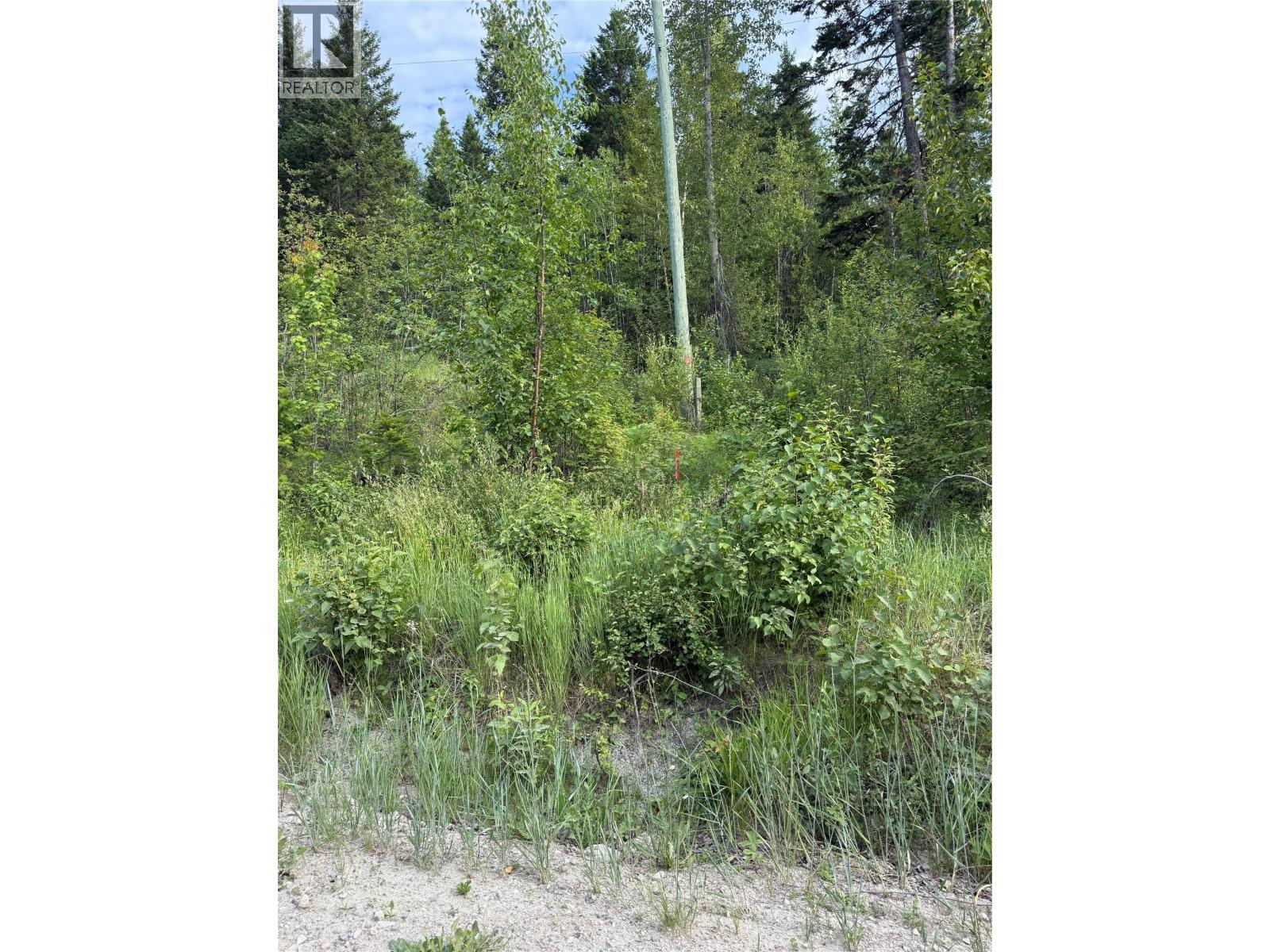 Hepburn Road Lot# 1, Chase, British Columbia  V0E 1M1 - Photo 82 - 10392577