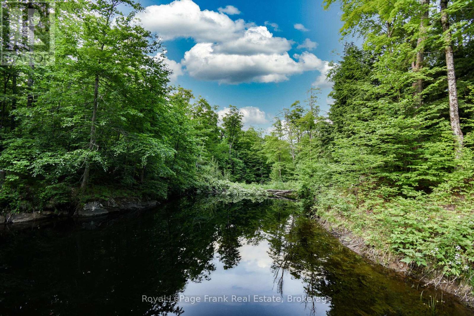 1804 Clydesdale Road, North Kawartha, Ontario  K0L 1A0 - Photo 14 - X13491146