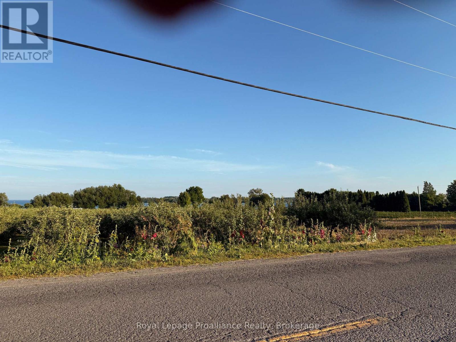 00 County Road 8, Prince Edward County, Ontario  K0K 2T0 - Photo 3 - X13491214