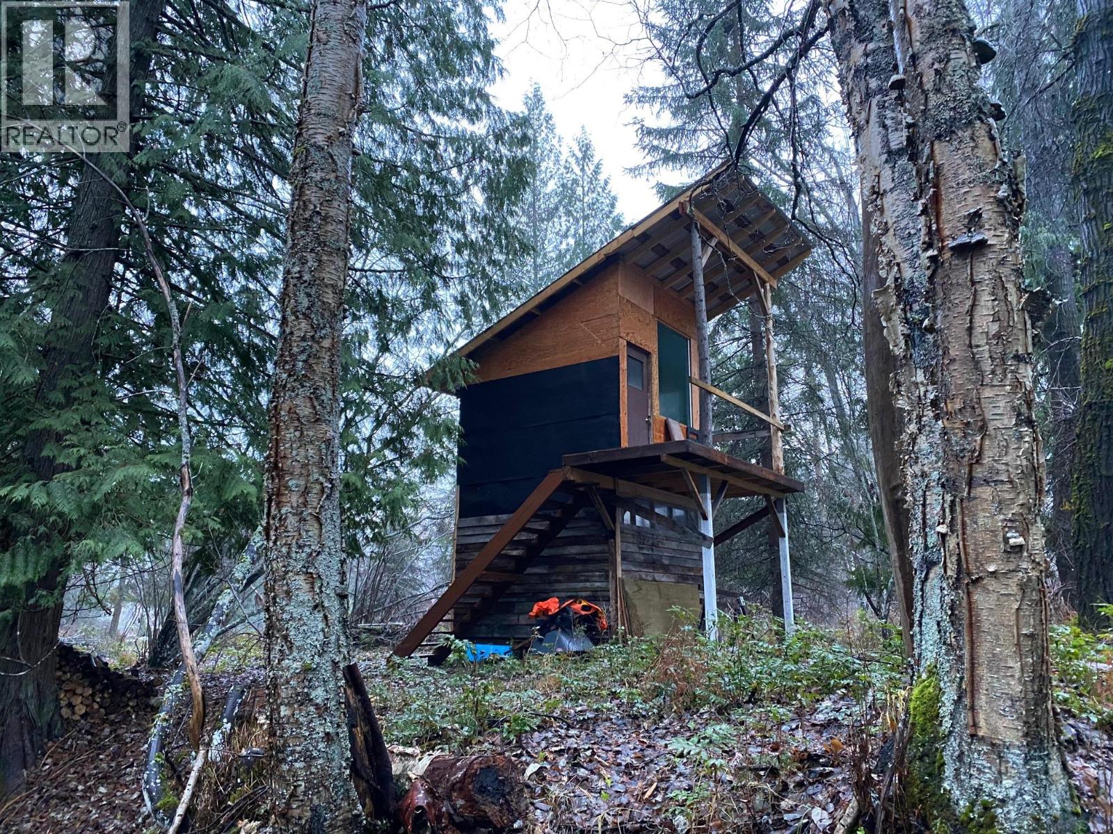 00 Slocan Valley West Road, Slocan Park, British Columbia  V0G 2E0 - Photo 2 - 10392765