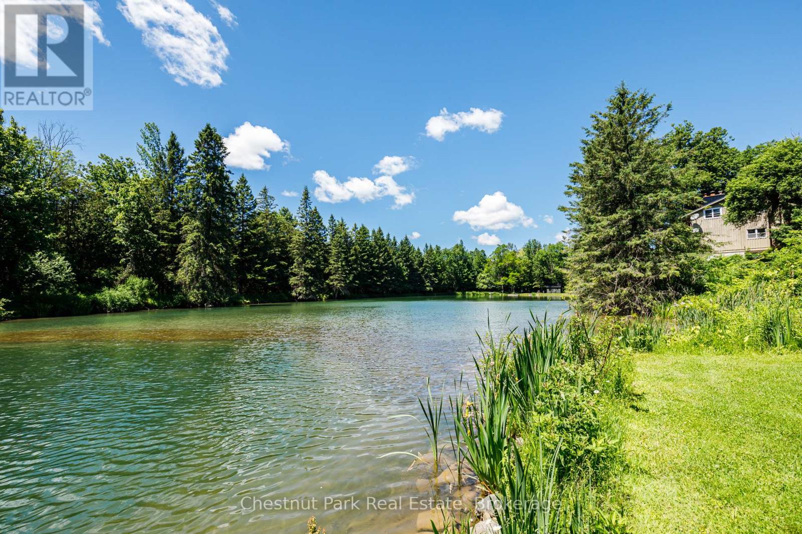 174386 Lower Valley Road, Grey Highlands, Ontario  N0C 1H0 - Photo 21 - X13491144