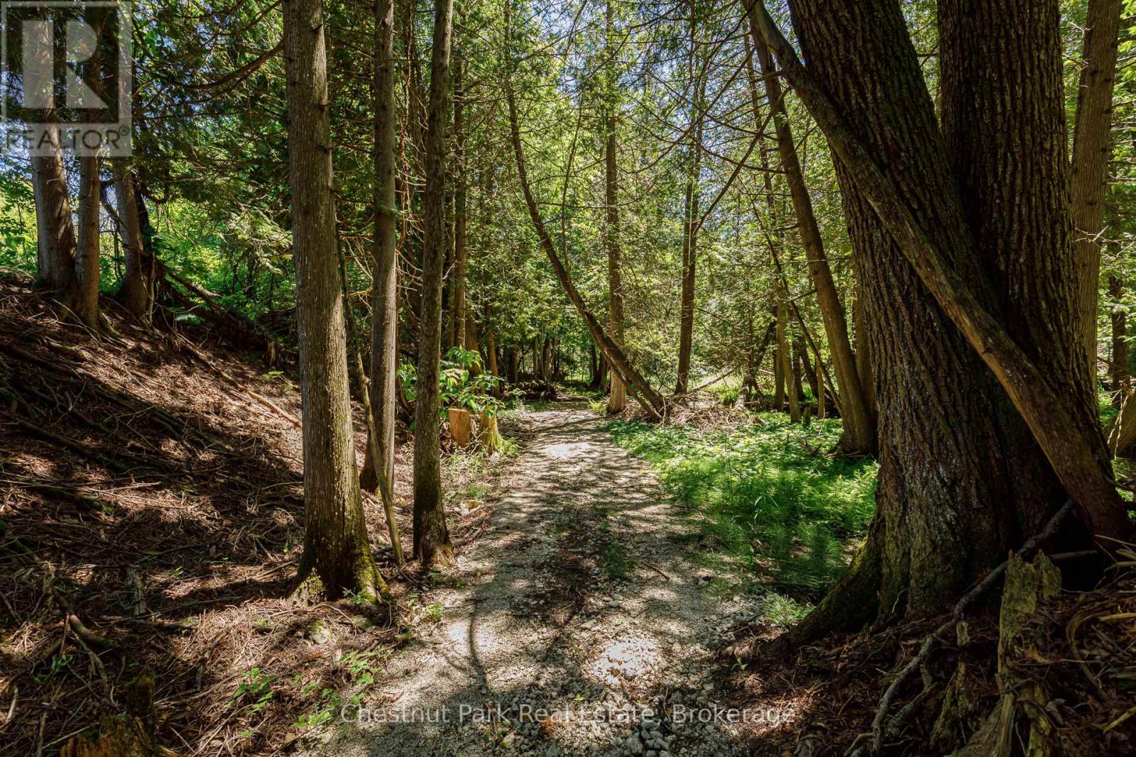174386 Lower Valley Road, Grey Highlands, Ontario  N0C 1H0 - Photo 23 - X13491144