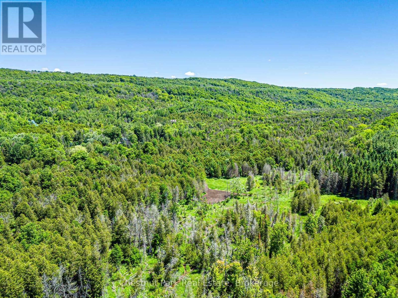 174386 Lower Valley Road, Grey Highlands, Ontario  N0C 1H0 - Photo 47 - X13491144