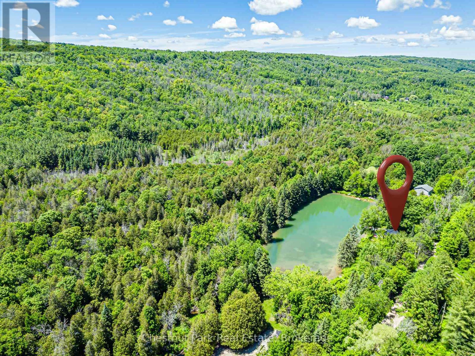 174386 Lower Valley Road, Grey Highlands, Ontario  N0C 1H0 - Photo 7 - X13491144