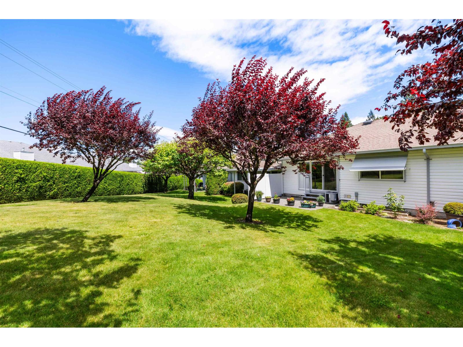 24 2988 Horn Street, Abbotsford, British Columbia  V2S 3C1 - Photo 26 - R3139838