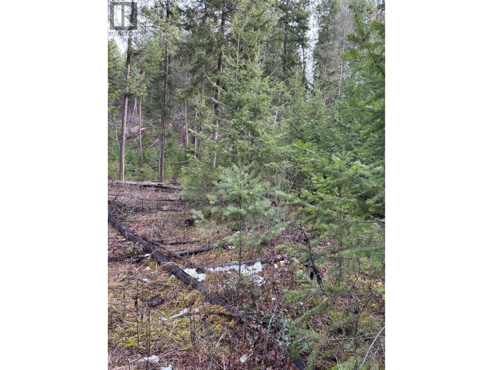 4797 Birch Lane, Barriere, British Columbia  V0E 1E0 - Photo 5 - 10392678