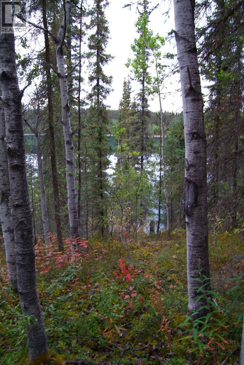 Lot 22 Williams Road, Dease Lake, British Columbia  V0C 1L0 - Photo 6 - R3139439