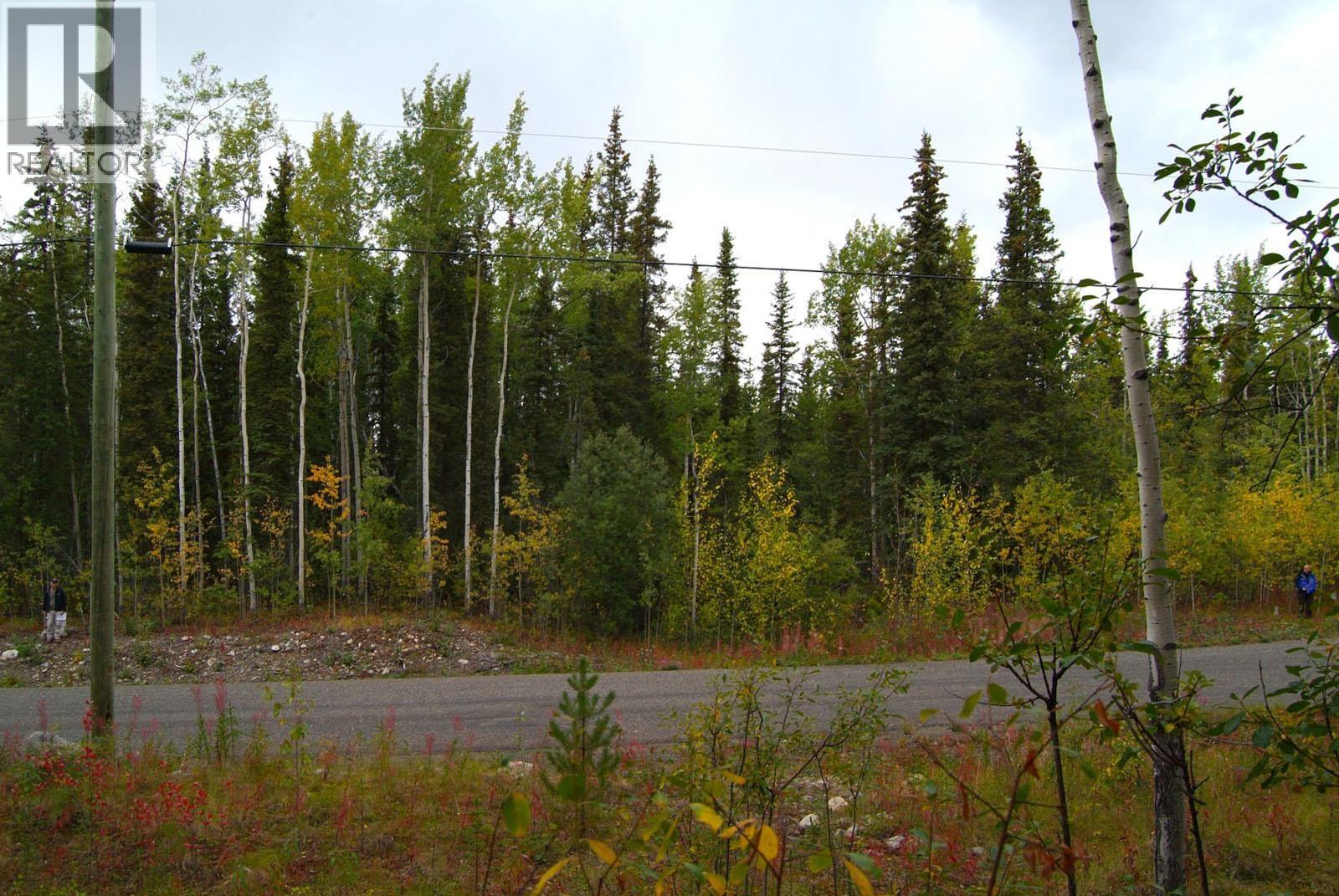 Lot 22 Williams Road, Dease Lake, British Columbia  V0C 1L0 - Photo 7 - R3139439