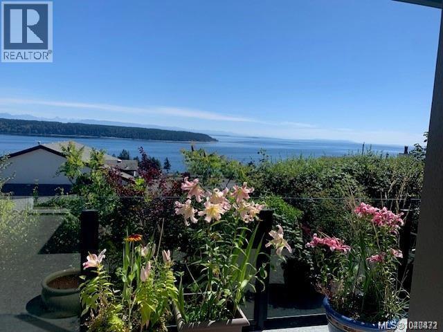 253 Alder St S, Campbell River, British Columbia  V9W 2M9 - Photo 6 - 1040472