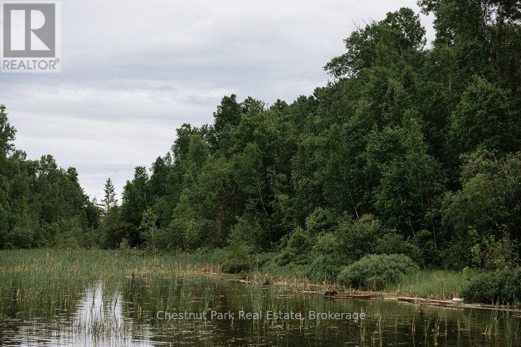 447 Fox Run, Temagami, Ontario  P0H 2H0 - Photo 8 - X13484364