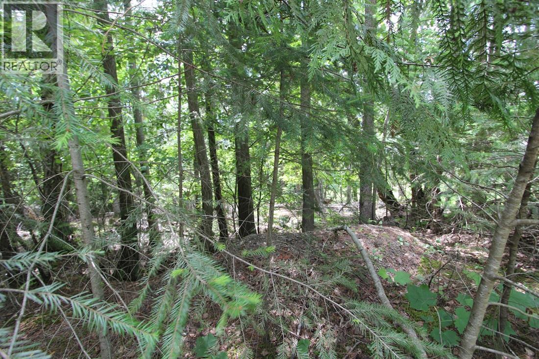 Vickers Trail Lot# 1, Anglemont, British Columbia  V0E 1M8 - Photo 5 - 10392726