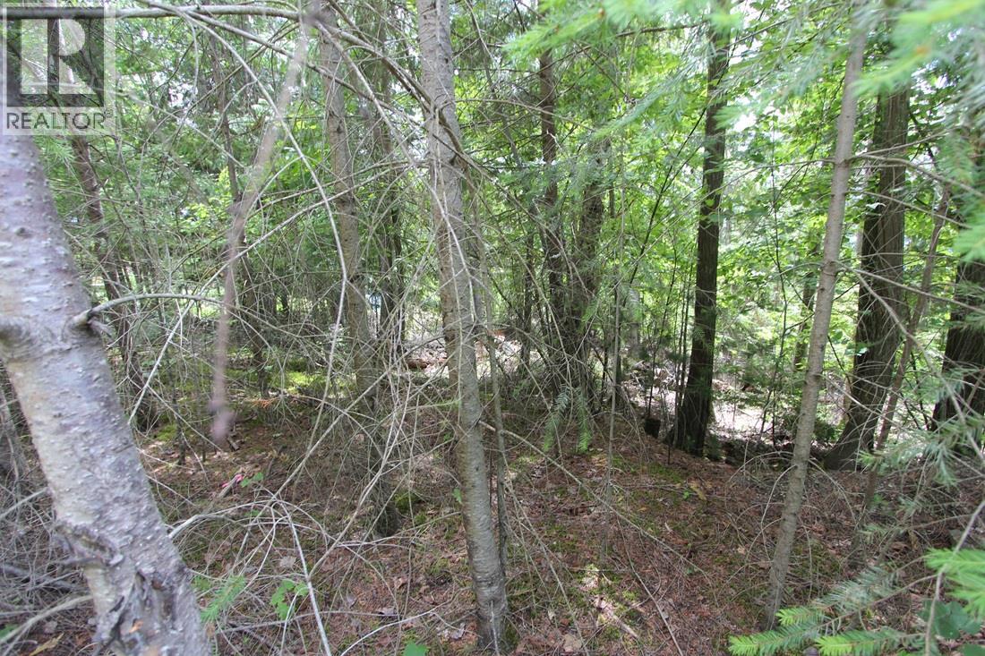 Vickers Trail Lot# 1, Anglemont, British Columbia  V0E 1M8 - Photo 4 - 10392726