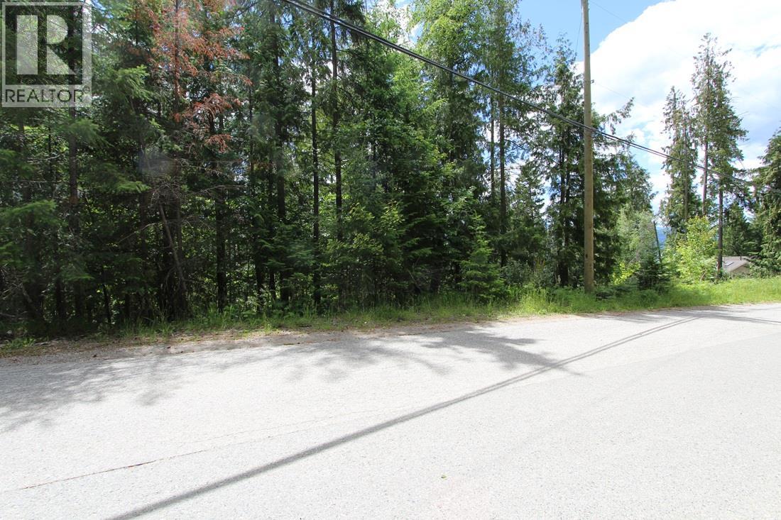 Vickers Trail Lot# 1, Anglemont, British Columbia  V0E 1M8 - Photo 6 - 10392726
