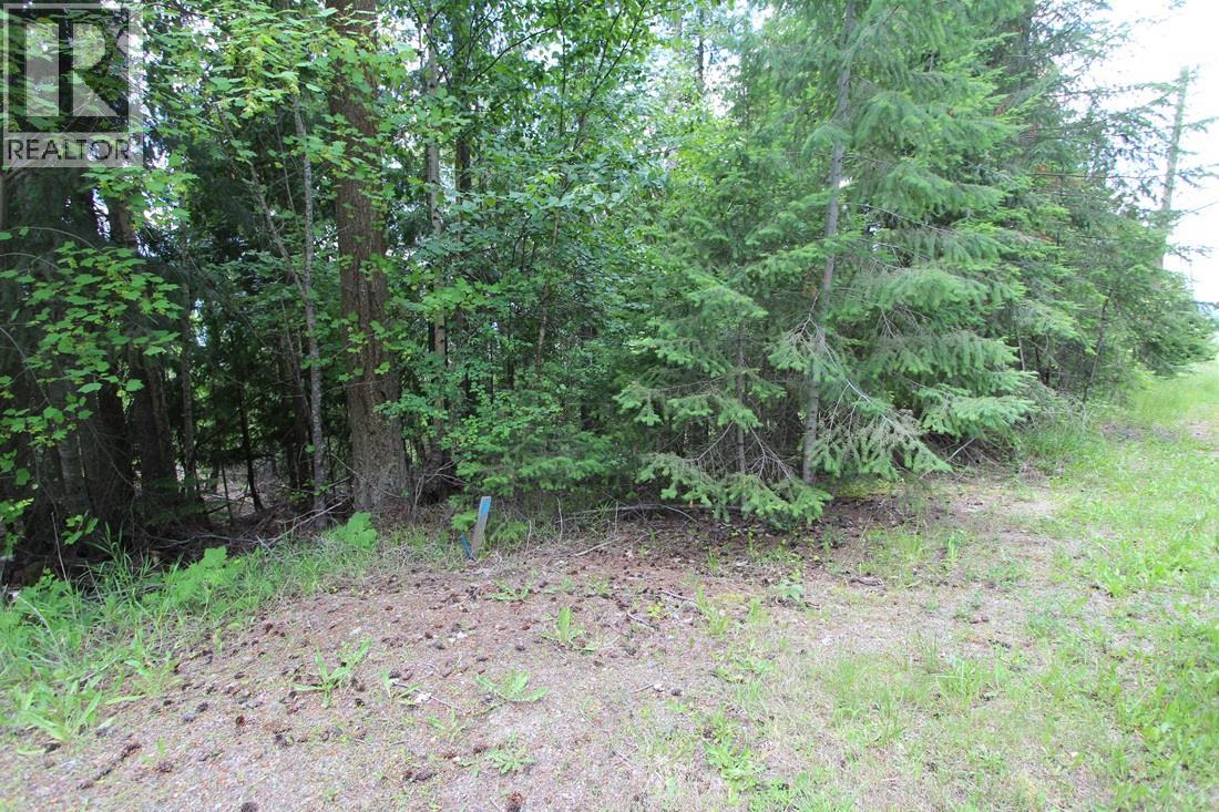 Vickers Trail Lot# 1, Anglemont, British Columbia