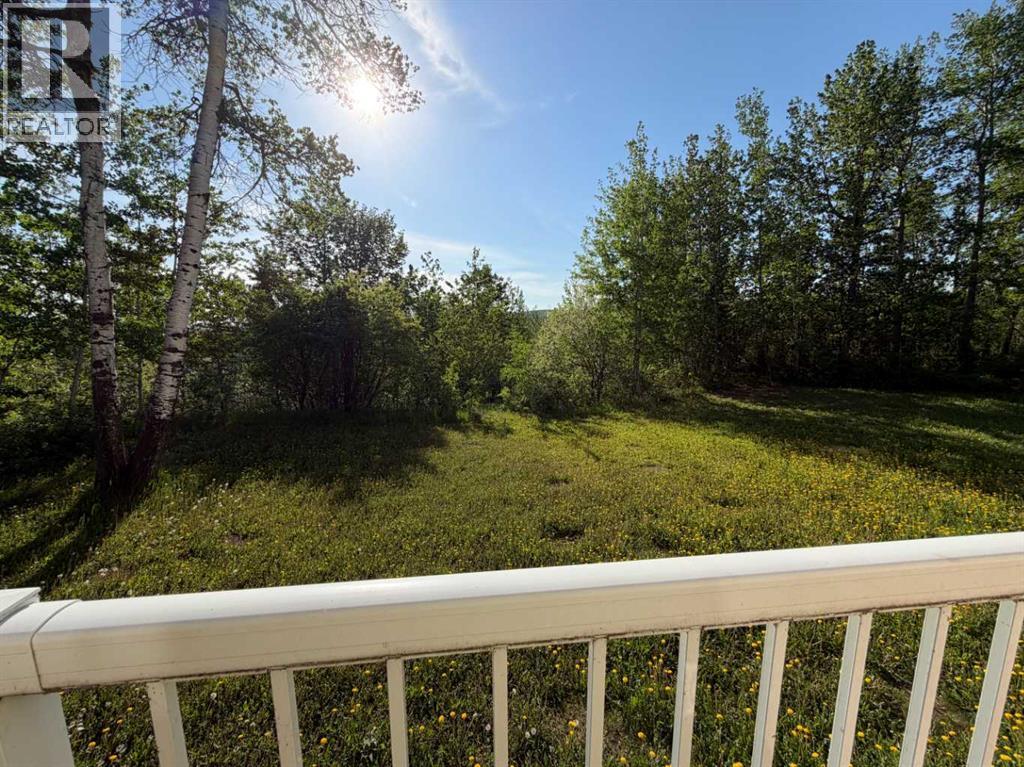 703034 40 Highway, County Of, Alberta  T8W 5A9 - Photo 23 - A2324487