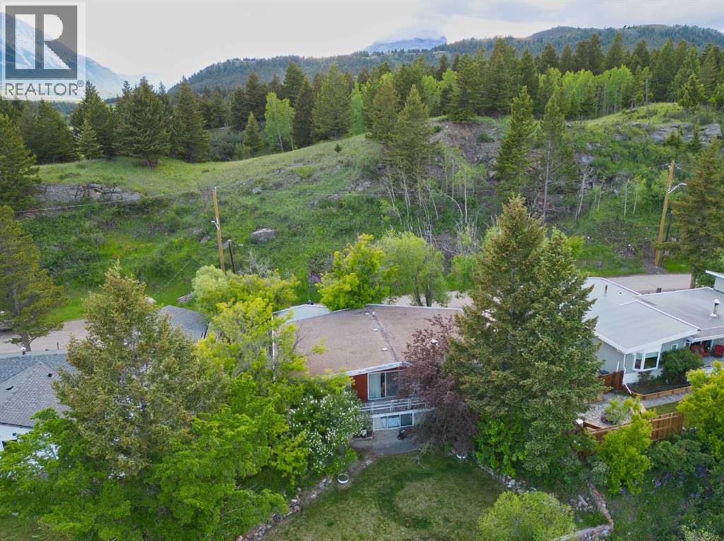 2021 73 Street, Coleman, Alberta  T0K 0M0 - Photo 2 - A2324264