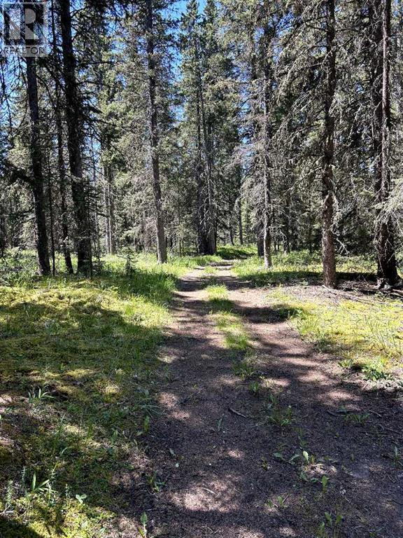 32380 Range Road 55, Rural Mountain View County, Alberta  T0M 1X0 - Photo 25 - A2324387