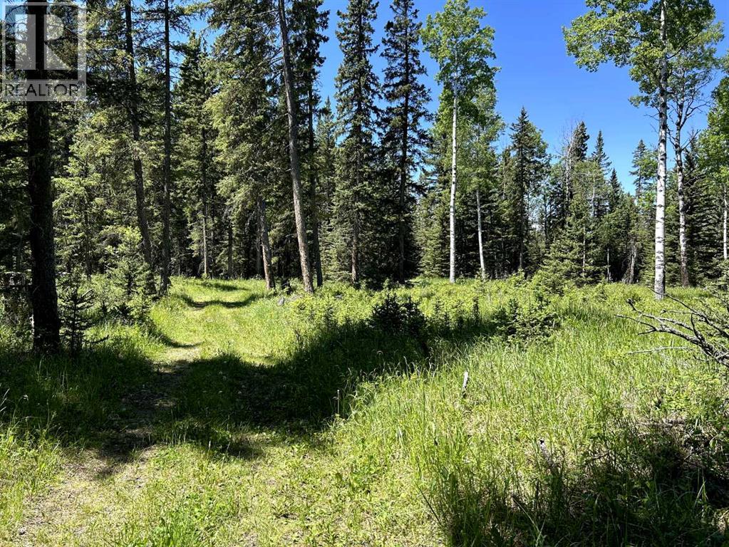 32380 Range Road 55, Rural Mountain View County, Alberta  T0M 1X0 - Photo 28 - A2324387
