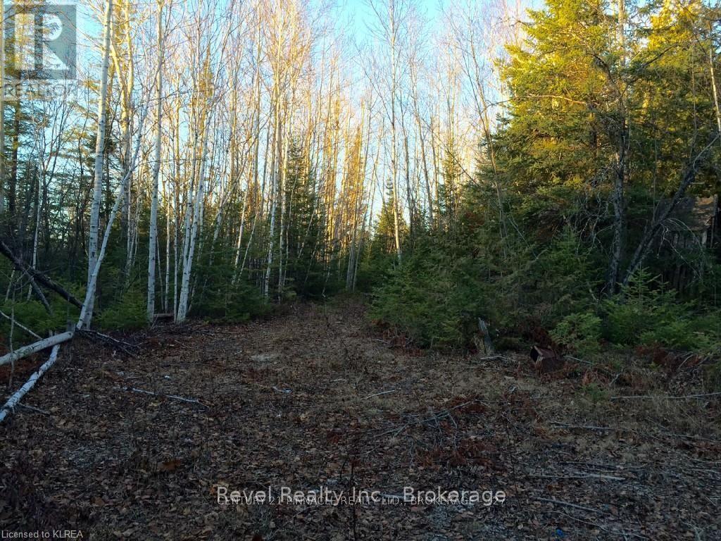 E 1/2 Lt 22 Con 10 Ops City Of Kawartha Lakes, Kawartha Lakes, Ontario  K9V 4R3 - Photo 1 - X13492004