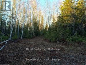 17 Diamond Lake Road, Madawaska Valley, Ontario  K0J 1L0 - Photo 1 - X13492016