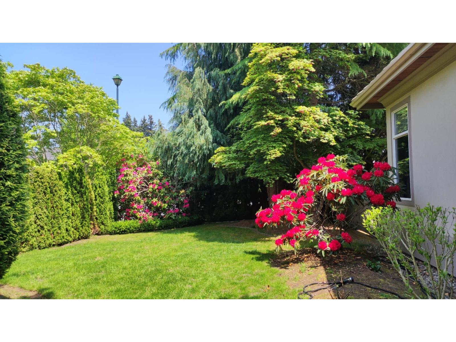 2248 136 Street, Surrey, British Columbia  V4A 9V2 - Photo 35 - R3139549