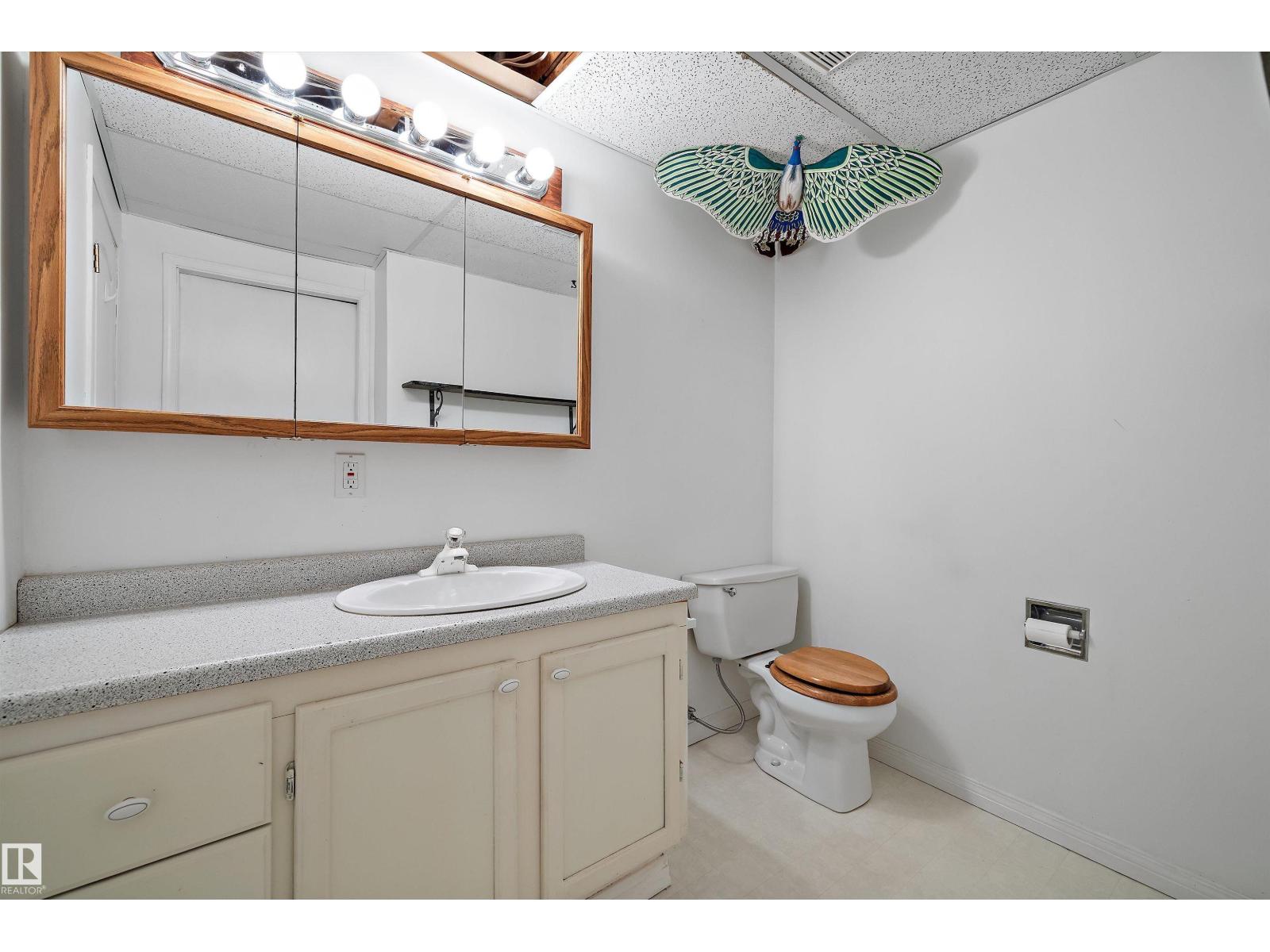 933 Youville Dr W Nw, Edmonton, Alberta  T6L 6T2 - Photo 39 - E4489747