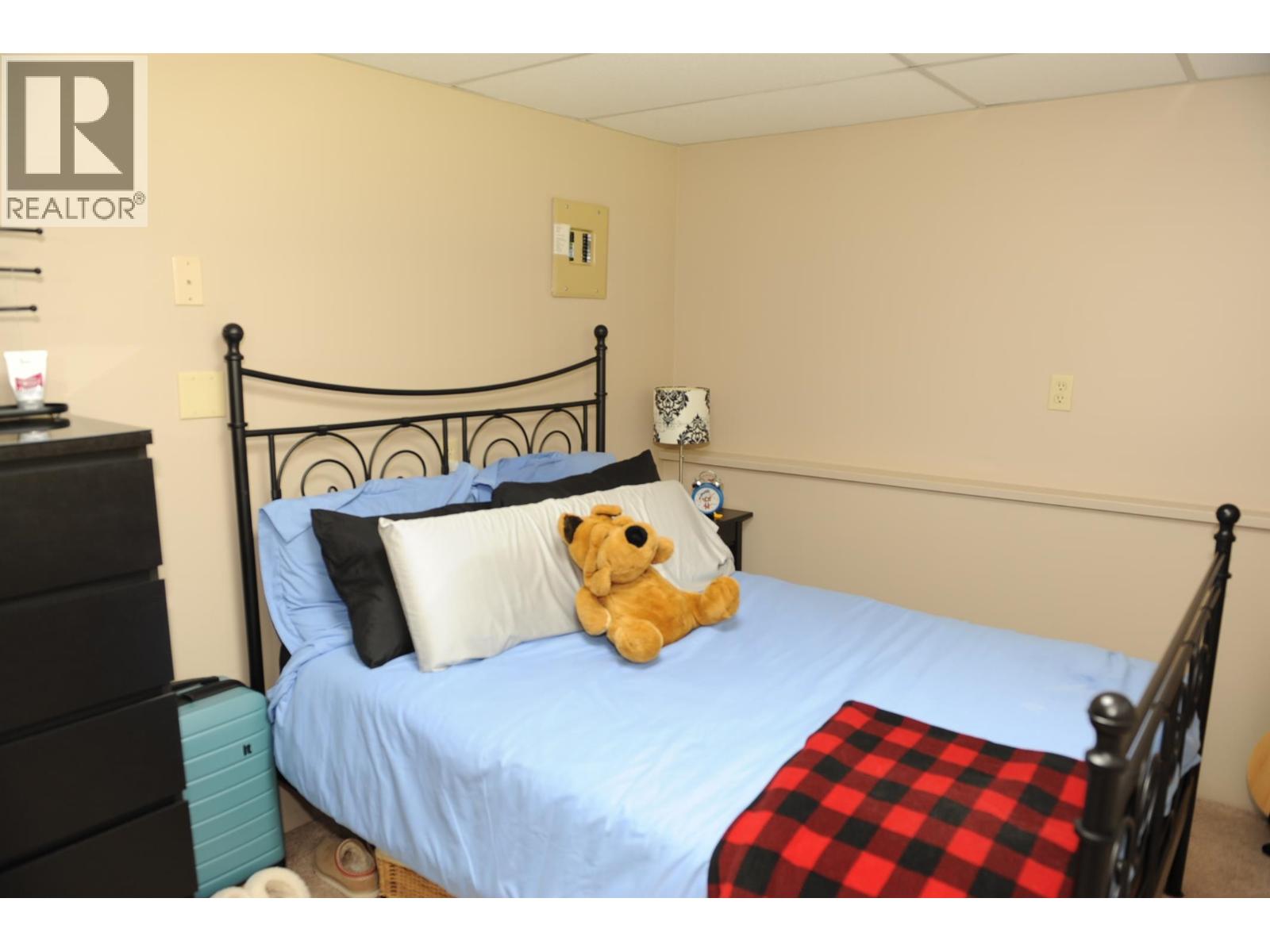 21159 Douglas Avenue, Maple Ridge, British Columbia  V4R 2H7 - Photo 29 - R3114724