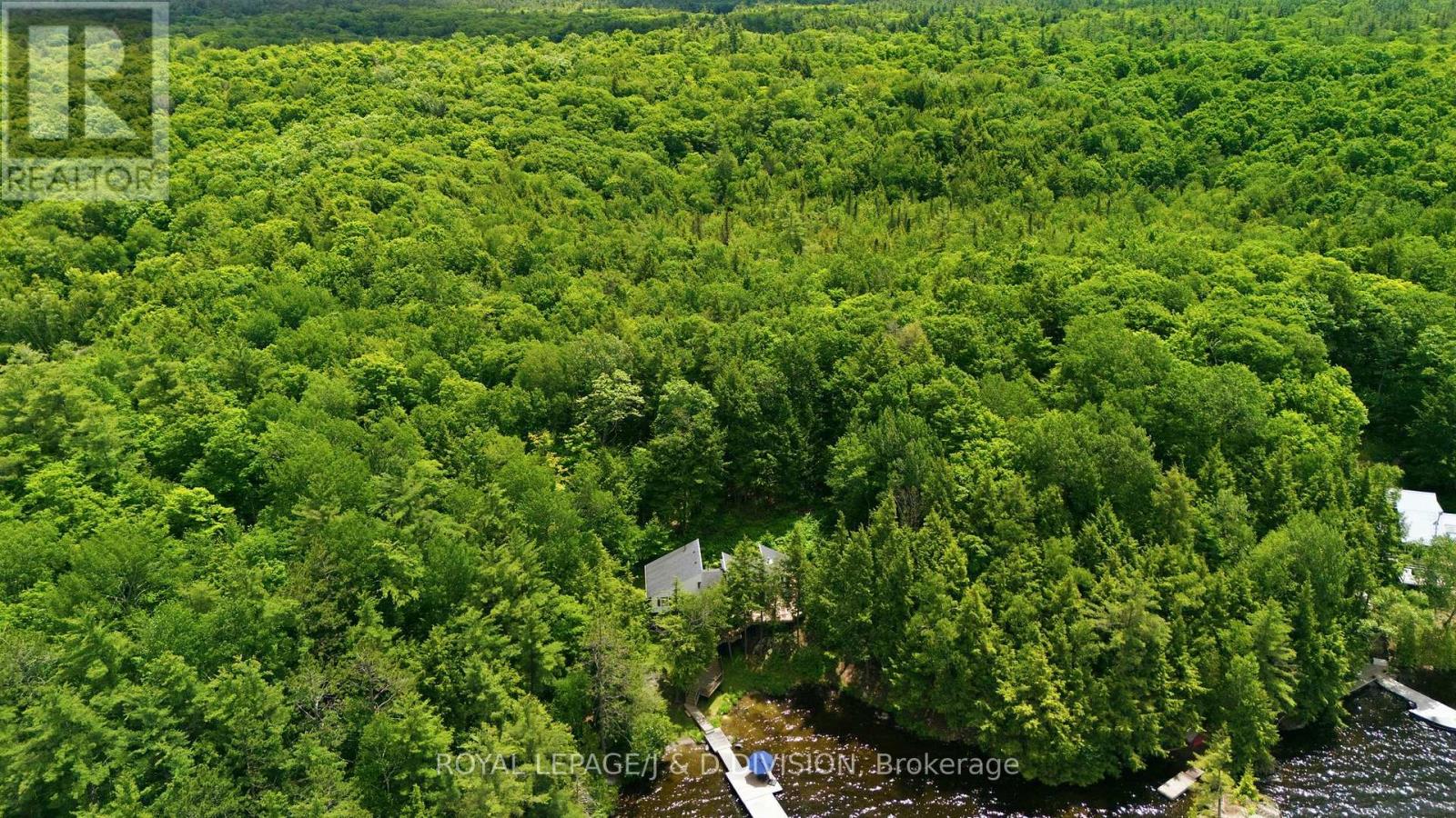 200 Blackstone Lake Water, The Archipelago, Ontario  P0G 1G0 - Photo 40 - X13492202