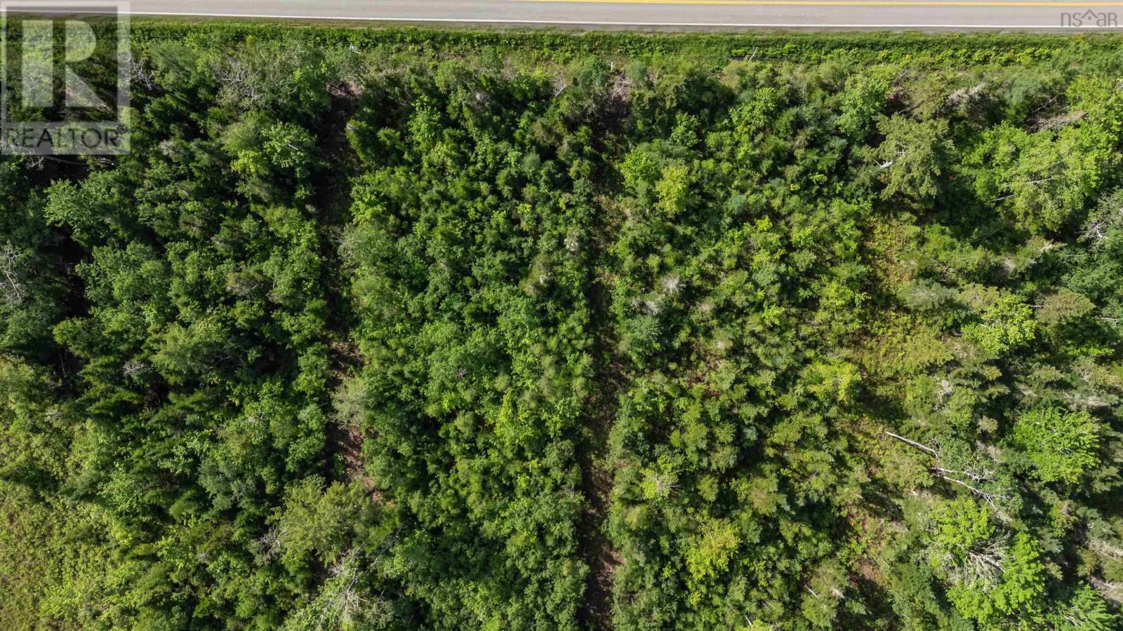 Lot 10 Bishop Road, Riverside Corner, Nova Scotia  B0N 1P0 - Photo 19 - 202608437
