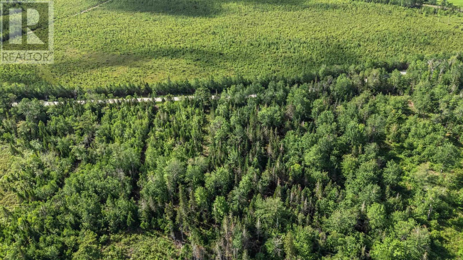 Lot 9 Bishop Road, Riverside Corner, Nova Scotia  B0N 1P0 - Photo 18 - 202608442