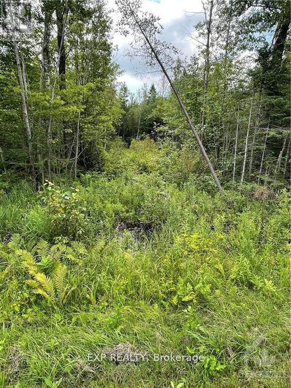 00 A1 CONCESSION ROAD 4 ROAD, Alfred and Plantagenet, Ontario