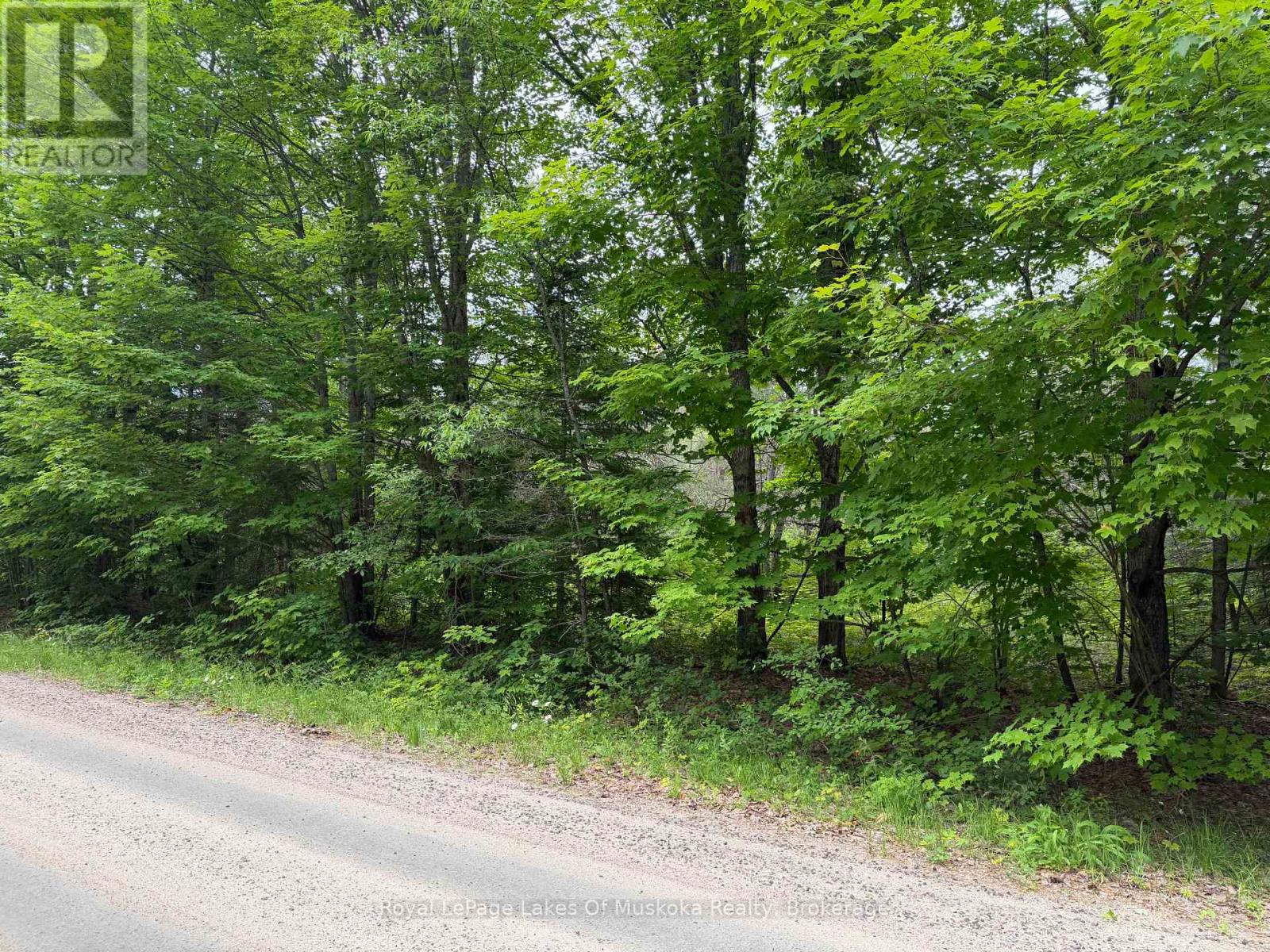 0 Starratt Road, Ryerson, Ontario  P0A 1P0 - Photo 2 - X13492492
