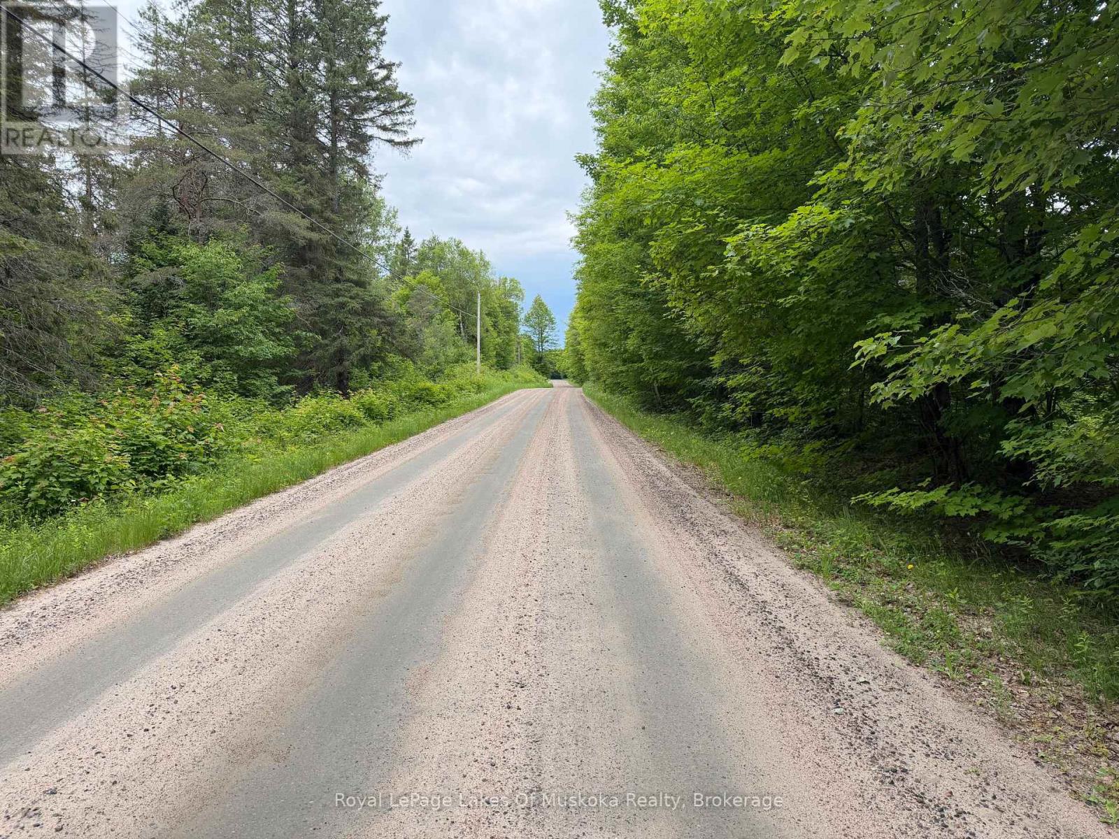0 Starratt Road, Ryerson, Ontario  P0A 1P0 - Photo 4 - X13492492