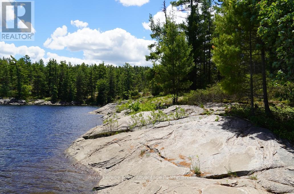 Ws89 Island French River, Parry Sound Remote Area, Ontario  P0M 1A0 - Photo 14 - X13425126