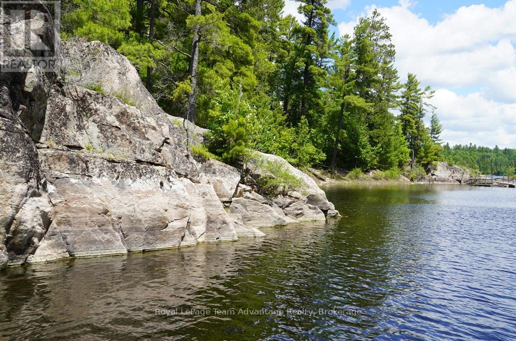 Ws89 Island French River, Parry Sound Remote Area, Ontario  P0M 1A0 - Photo 10 - X13425126