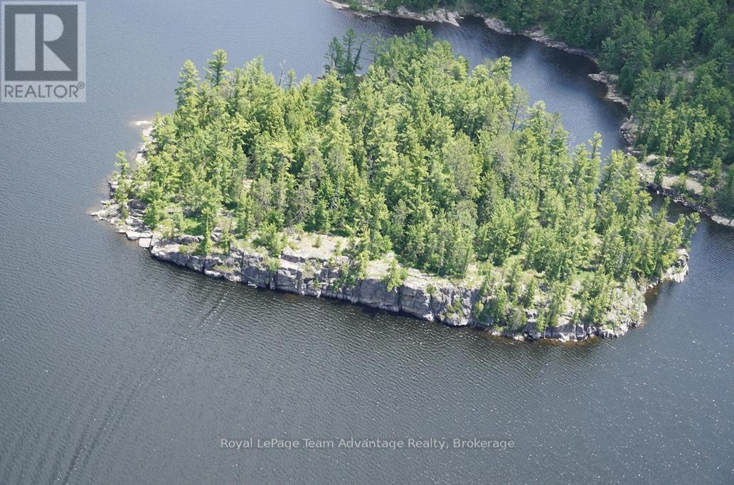 Ws89 Island French River, Parry Sound Remote Area, Ontario  P0M 1A0 - Photo 3 - X13425126